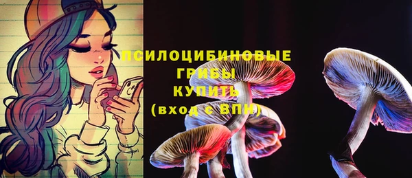 2c-b Белоозёрский