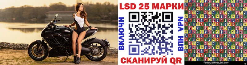 Марки N-bome 1,8мг  цена наркотик  гидра как войти  Пионерский 